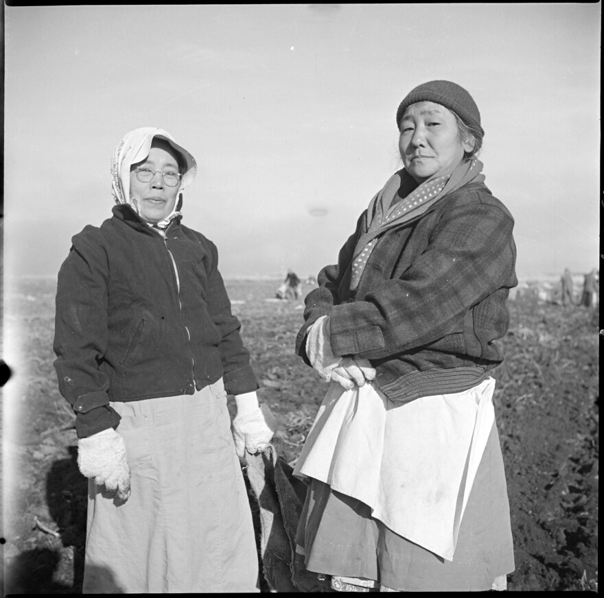 Each of the 10 incarceration camps nationwide had working farms. Many of the Japanese-Americans held there, like the women above, worked as field hands.