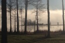 Managed timberland pine forests surround Lake Erling and its 120 miles of shoreline.