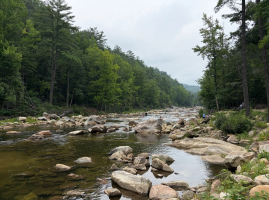 ICE and U.S. Forest Service Conduct Joint Operation in North Carolina