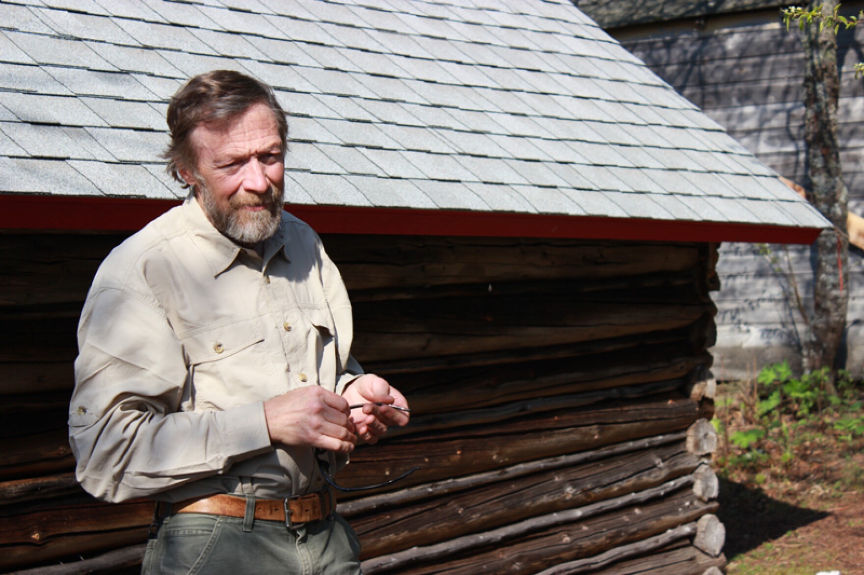 Why are moose populations declining?