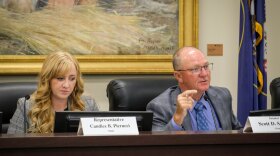 Rep. Candice Pierucci and Sen. Scott Sandall, the Republican co-chairs of the Legislative Redistricting Committee, during a morning hearing before the Legislature's special session, Oct. 6, 2025.