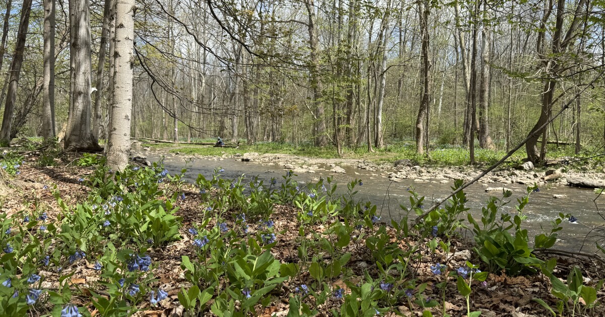Genesee Land Trust has protected more than 10,000 acres