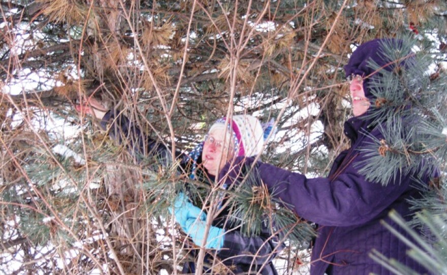 Druscilla Lis (left) & Laura McCumber (right) Geocaching