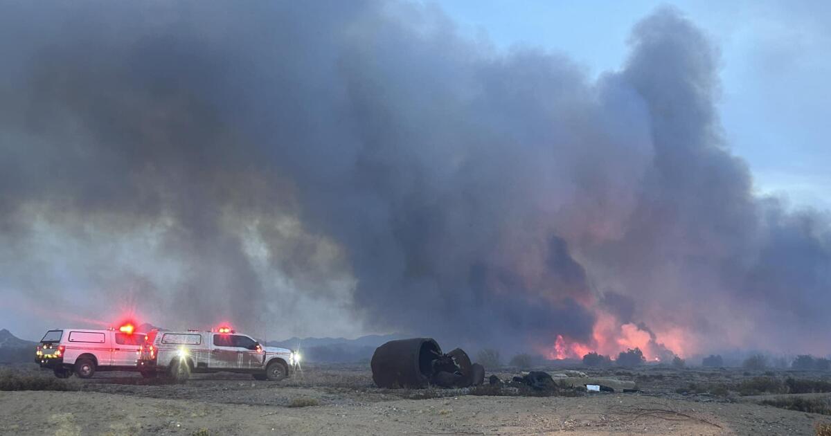 Almost all Arizona wildfires this year have been human-caused