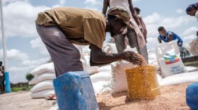 A man puts wheat into a container during a food distribution organized by the Amhara government near the village of Baker, 50 kms South East of Humera, in the northern Tigray Region on July 11, 2021.  (EDUARDO SOTERAS/AFP via Getty Images)