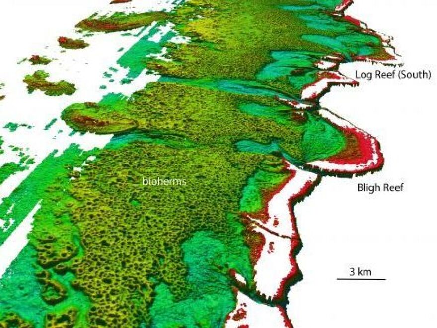 A northwesterly view of the Bligh Reef area off Cape York in northern Australia. Depths are red (shallow) to blue (deep), over a depth range of about 150 feet. The green area shows the newly discovered doughnut-shaped structures created by algae.