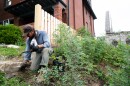 Ian Quattrocchi, a landscape worker who was born and raised in St. Louis, works on the landscaping surrounding the Pulitzer Art Foundation's Spring Church on Spring Avenue in St. Louis. Quattrocchi said he takes breaks often and stays hydrated when working outside in the heat.