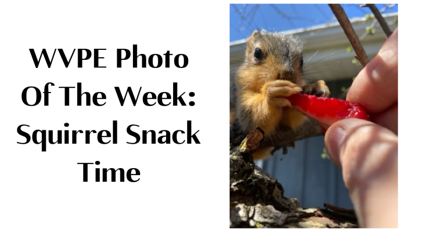 squirrel snack.png