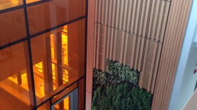 RIT's Golisano Institute for Sustainability features a natural wall with plants watered by rain runoff.