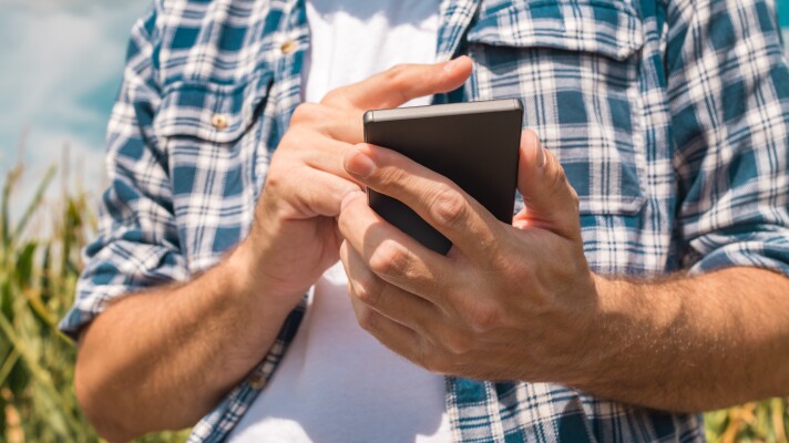 An agronomist uses a smartphone in a corn field.