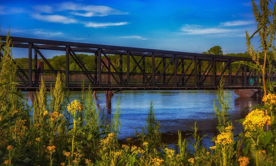 Pictured: Bridge over the river near St. Charles. The foreground pictures yellow wildflowers.