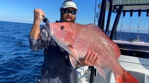 Red Snapper being released using proper fish handling practices.