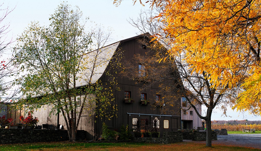 Herman J. Wiemer Vineyard and Winery in Dundee, Yates County, off Seneca Lake.