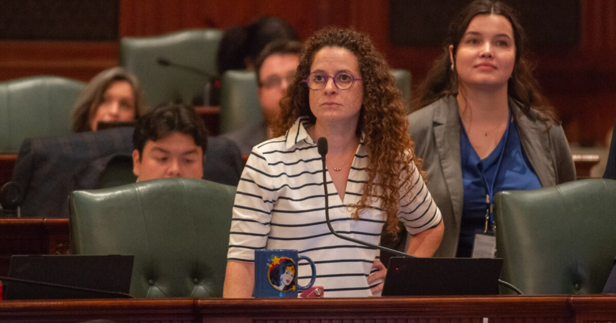 Illinois lawmakers pass bill to shield abortion information from digital medical records