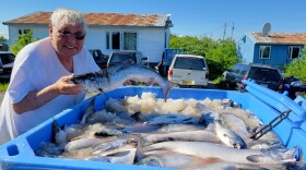 Robin Samuelson with a truckload of fish.