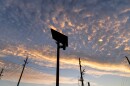 A Flock  license plate reader is seen along a public road, Thursday, Oct. 16, 2025, in Houston. 