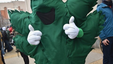 A demonstrator at a marijuana legalization rally in Washington, D.C., on Inauguration Day 2017.