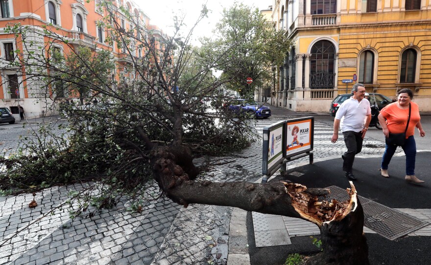 A felled tree taken down by strong winds is seen in downtown Rome.