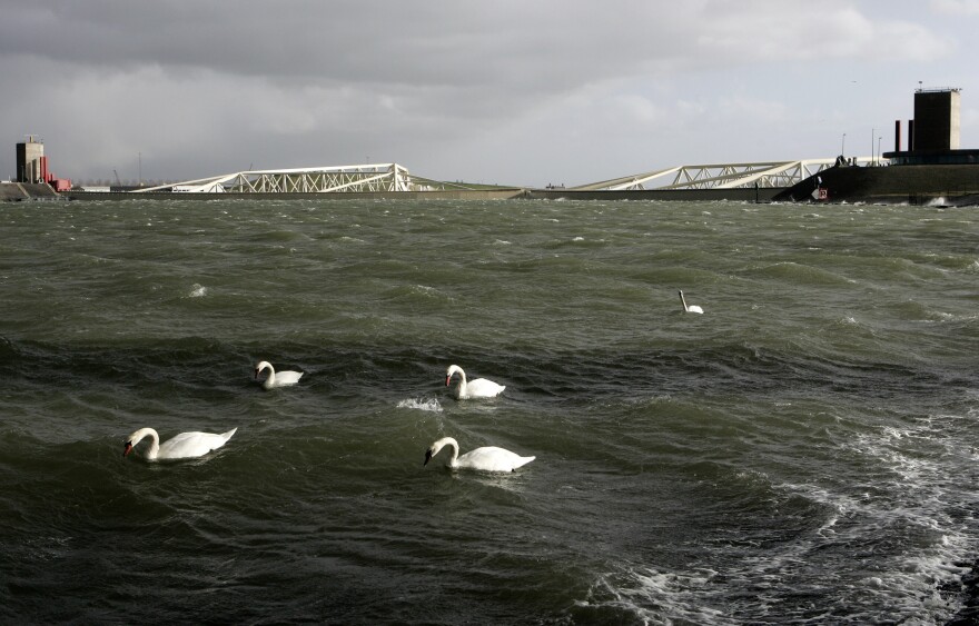 Swans pass in front of the closed Maeslant Barrier gates in the Netherlands, in November, 2007. Similar gates have been proposed to protect Manhattan from rising seas.