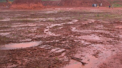 Red clay soil.