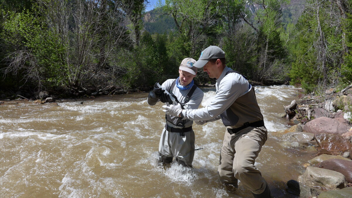 Groups working toward Outstanding Waters designations on Western Slope creeks - Vimarsana News
