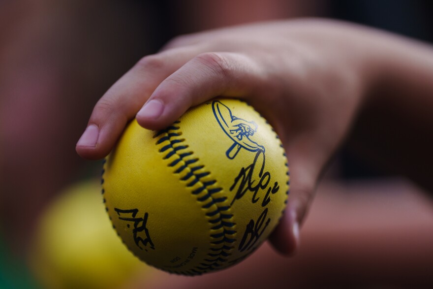 A young fan holds a signed Banana baseball out for more signatures during a baseball game between the Savannah Bananas and the Party Animals at Busch Stadium on Friday, July 18, 2025, in downtown St. Louis.