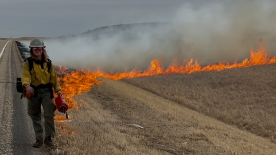 A woman firefighter in gear stands off the road by a field of dead grass, lighting it on fire.