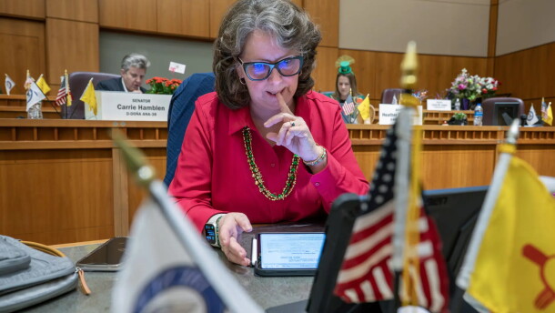 Sen. Linda Trujillo, D-Santa Fe, works at her desk on the Senate floor in this March 2025 file photo. Senate Democrats picked Trujillo as their new floor leader Sunday, during a closed-door caucus meeting, selecting the veteran lawmaker to replace Sen. Peter Wirth.