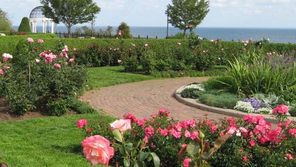 A garden of roses with a brick path, trees, and open water in the background