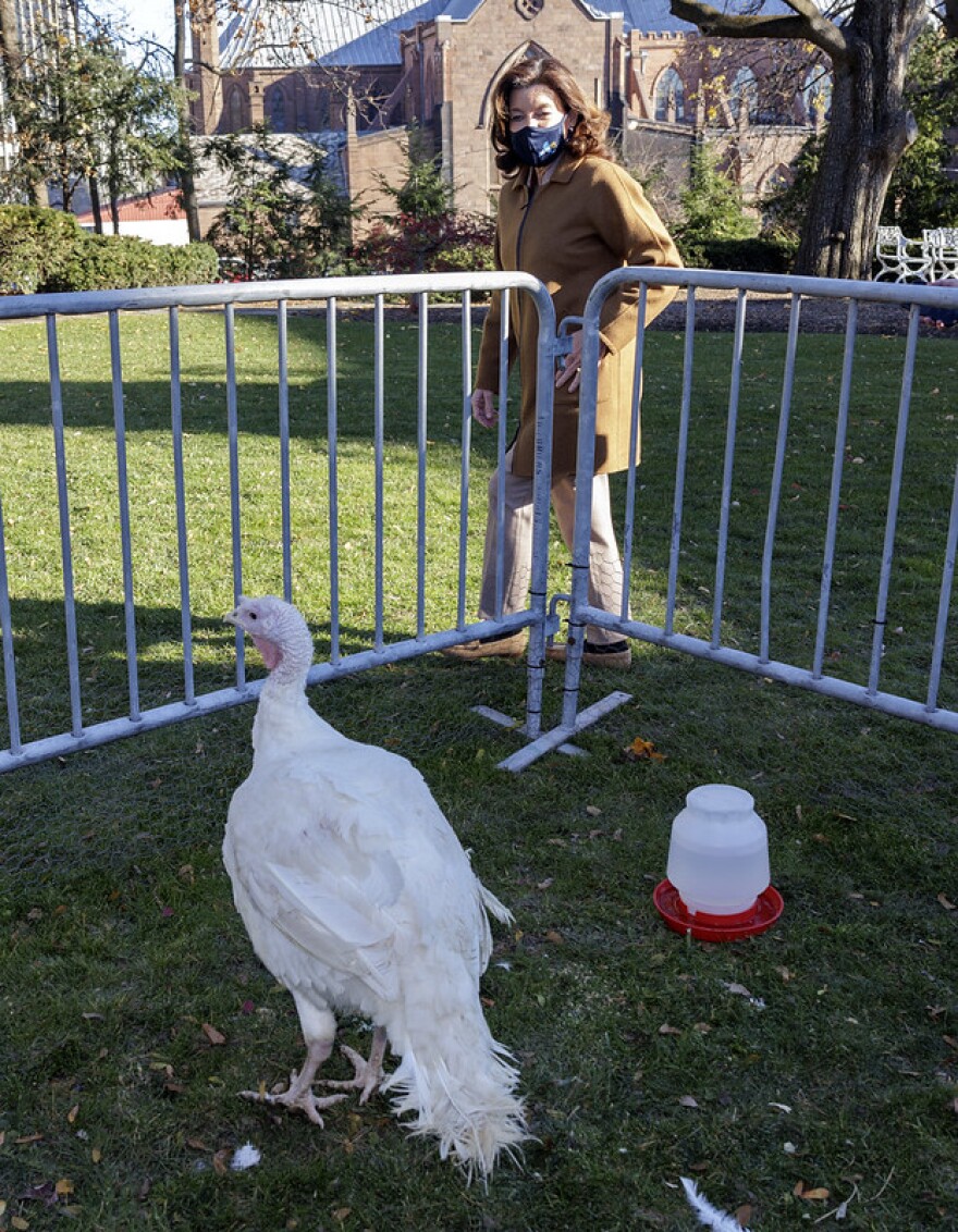 New York Gov. Kathy Hochul, with the turkey named "Sully" that she pardoned on Thanksgiving eve. Hochul also warned New Yorkers to be careful not to further spread COVID-19 during the holiday. 