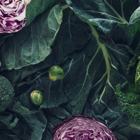 Dark background with winter vegetables high in antioxidants, minerals and vitamins: Collard greens, broccoli, Brussels sprouts, red cabbage and kale. Flat lay. Food concept. Agricultural products.