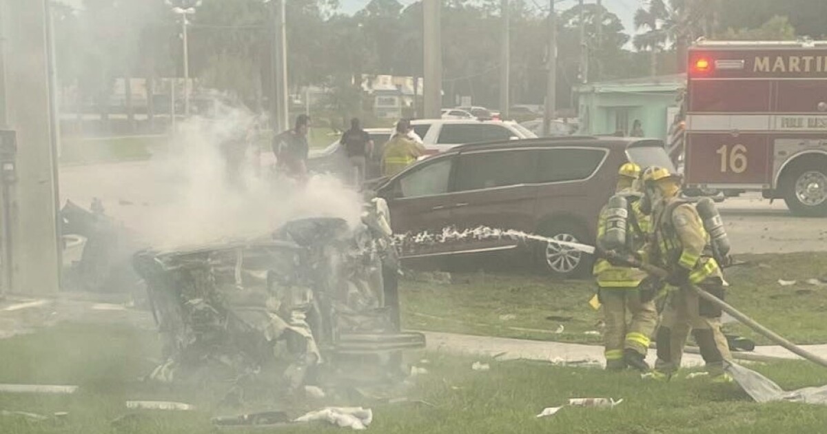 Is this a model X, Model 3, or Model Y? [Fatal Tesla Model Y accident