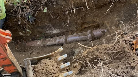 An exposed section of a sewer connection that that city said was affected by a rootball.