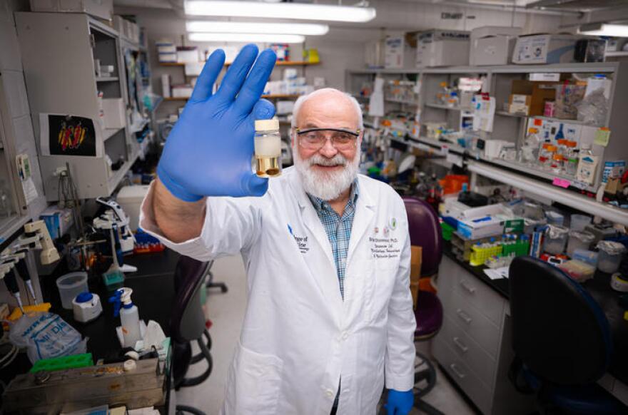 Brian Stevenson, PhD -Microbiology, Immunology, and Molecular Genetics