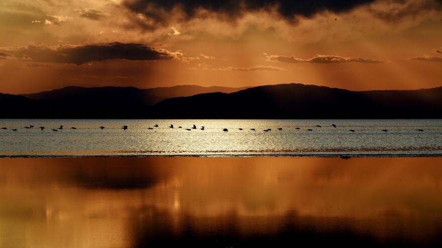 Birds fly near Red Hill Marina at California's largest lake, Salton Sea, in 2015.