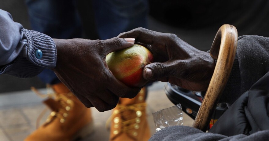 The innovative food models will serve as a sort of pilot on the most effective ways to get healthy food into Rochester's most impoverished neighborhoods.