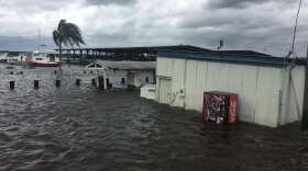 The parking lot is flooded at Doctors Lake Marina in Orange Park.Photo: Lindsay Kilbride, WJCT