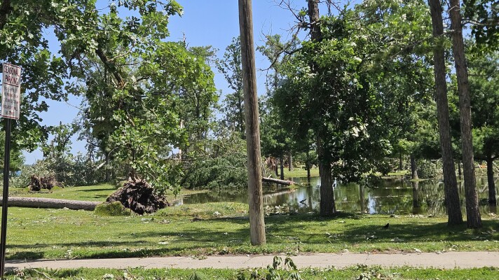 Diamond Point Park lost many old-growth trees and experienced some flooding in the aftermath of the straight-line wind storm in Bemidji on June 21, 2025.