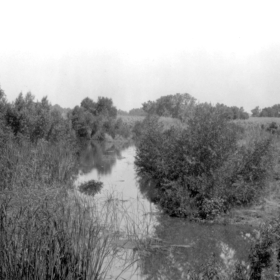 The Panama Slough south of Bakersfield, circa 1890.