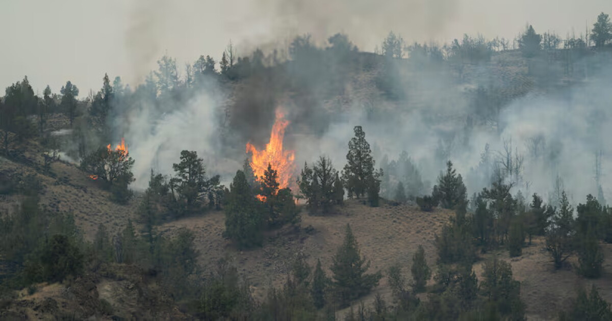 Coverage image for: Oregon’s 2026 wildfire season brings record costs
