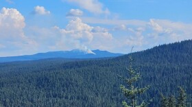 A wildfire seen in the distance amid a vast area of trees. 
