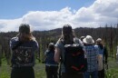 A group of people wearing outdoor gear and birding t-shirts look through binoculars at a hillside covered in burned pine trees.