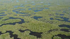 Everglades National Park