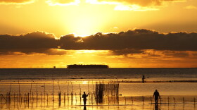 In this Wednesday, June 4, 2014 photo, fisher folk work on in shallow waters, near Nuku'alofa, Tonga. 