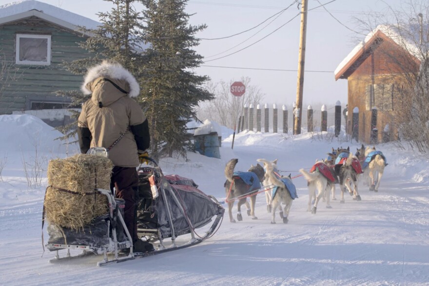 Yukon Quest frontrunner Josi Shelley mushes out of Fort Yukon at about 11:30 a.m. on Feb. 10, 2026.