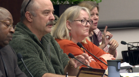 District I Representative Chris Sturbaum speaks during the Nov. 14 meeting of the Bloomington City Council. Sturbaum and Council President Dave Rollo (District IV) sponsored the amendment that prohibits multifamily "plexes" in certain residential zones