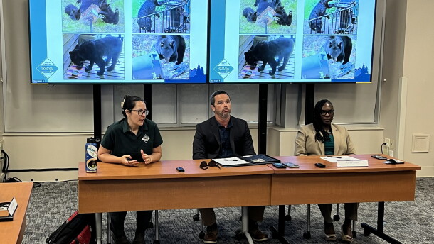 Ashley Hobbs, (left) a biologist with the N.C. Wildlife Resources Commission, makes a point about local bear problems during a Sept. 15 briefing for the Buncombe County Board of Commissioners. Also shown are county Solid Waste Director Dane Pederson, center, and County Manager Avril Pinder.