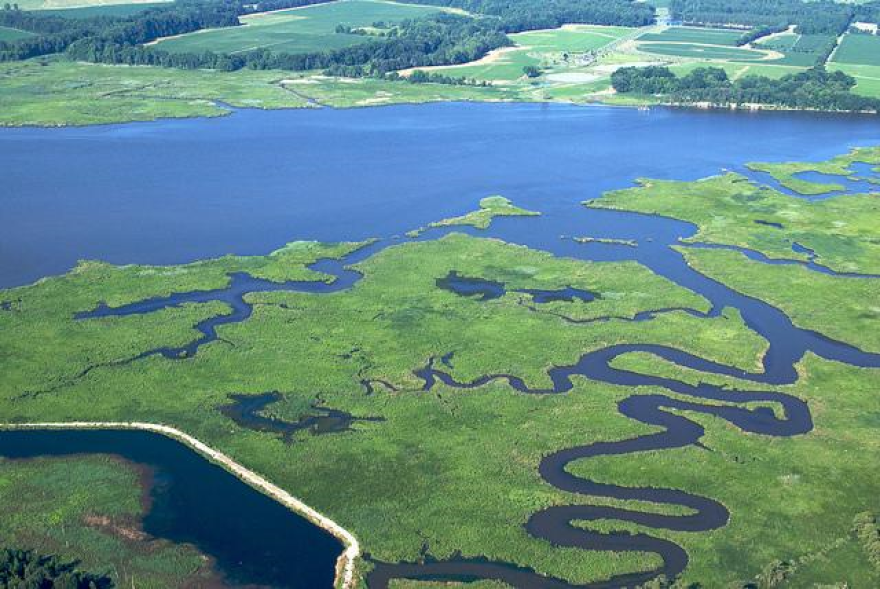 Chesapeake Bay