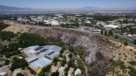 A scorched hillside shows the aftermath of the Canyon Road Fire in Logan. Officials say the fire was caused by spontaneous combustion.