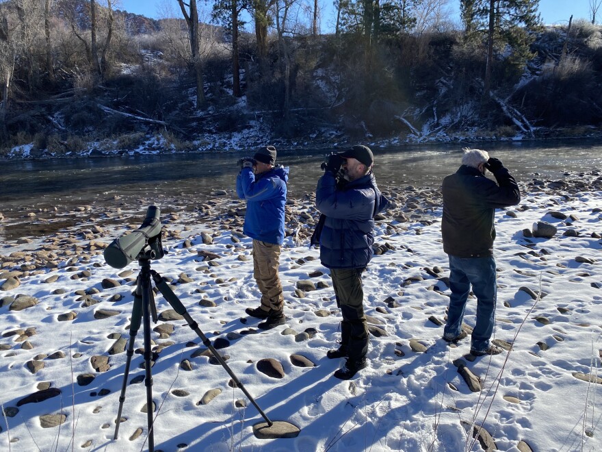 Birders Ted Robertson, Dick Filby and Al Levantin (left to right) count 98 Canada geese in the Roaring Fork River near Aspen Glen on Dec. 18, 2021. The group spotted 42 species for the Christmas Bird Count in a single day.